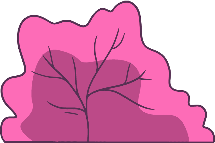 pink leave